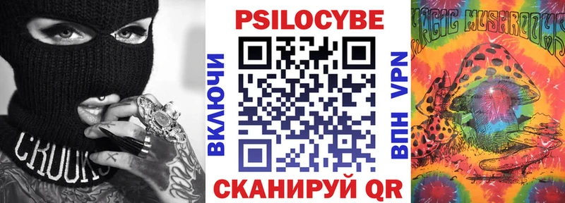Псилоцибиновые грибы Cubensis  купить закладку  Кисловодск 