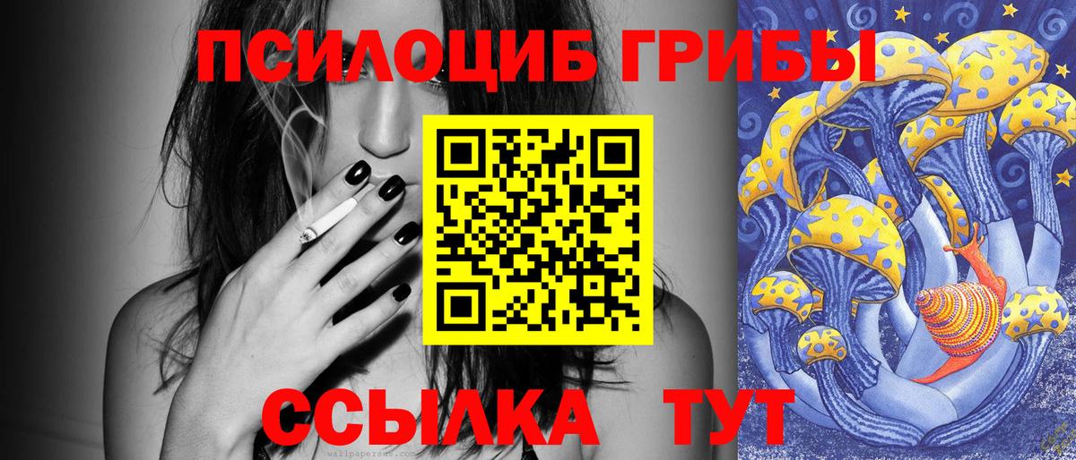 где купить наркотик  Псилоцибиновые грибы мухоморы  Вход с VPN  Псилоцибиновые грибы прущие грибы  Кисловодск 