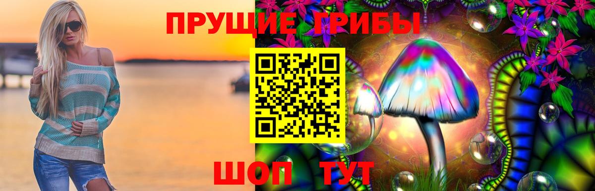 Псилоцибиновые грибы прущие грибы Кисловодск